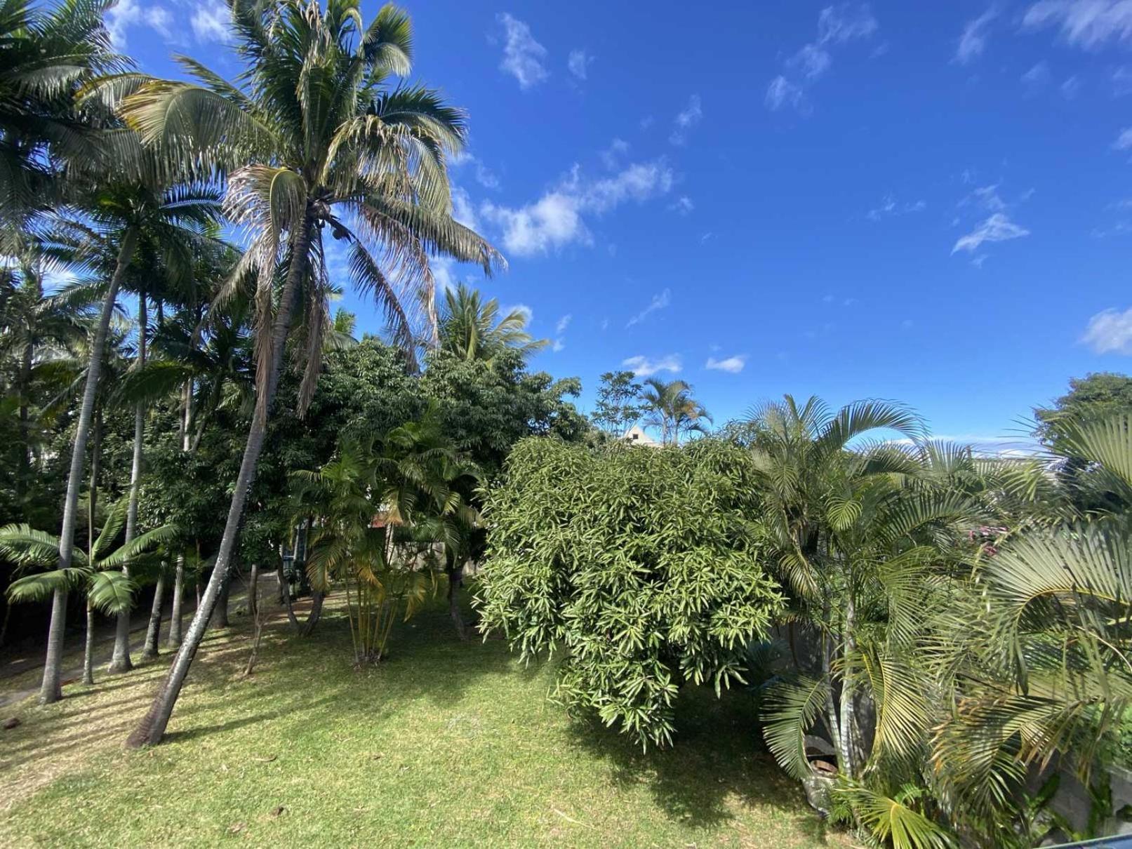 Coliver - Coliving A La Reunion Saint Pierre Exterior foto
